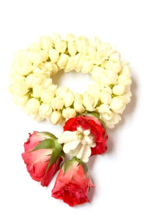 white jasmine garlandの写真素材