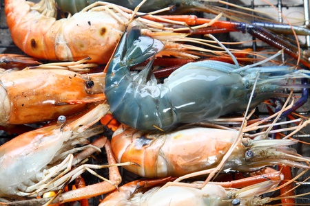 fresh prawn among grilled prawnsの写真素材