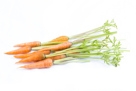 fresh baby carrot on white backgroundの写真素材