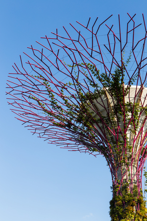 SINGAPORE - FEBRUARY 28, 2015: Close-up Supertree Groove at Garden by the Bay. Garden by the Bay is one of the most famous tourist attraction in Singapore.のeditorial素材