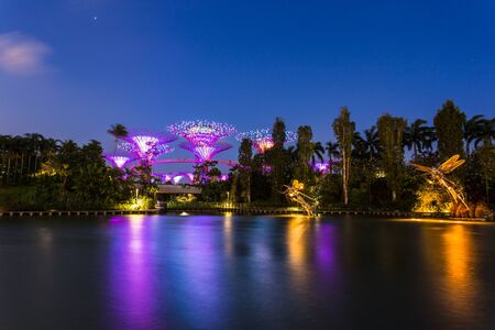 SINGAPORE - FEBRUARY 28, 2015: Sunset scene of the Supertree Groove at Garden by the Bay. Garden by the Bay is one of the most famous tourist attraction in Singapore.のeditorial素材