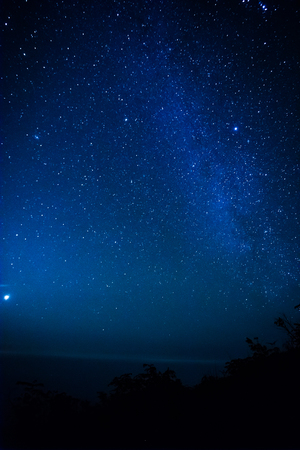 starry night