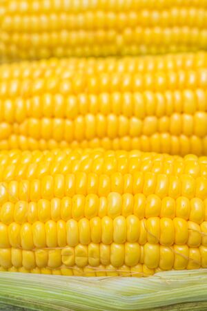 corn close-upの写真素材