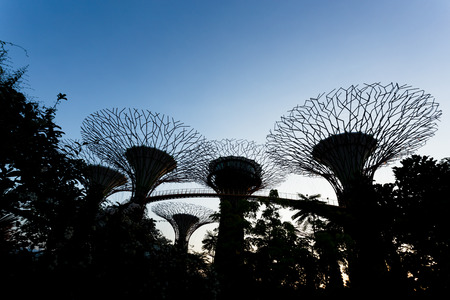 SINGAPORE - FEBRUARY 28, 2015: Silhouette Supertree Grooves over the blue sky. Supertree Grooves are the 16 storeys high towers located in Garden by the bay, Singapore.のeditorial素材