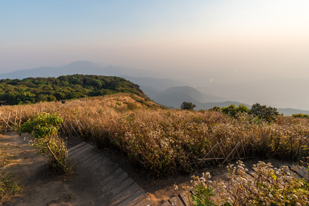 Beautiful scenic of Kew Mae Pan at Doi Inthanon National Park, Chiangmai, Thailand.の写真素材