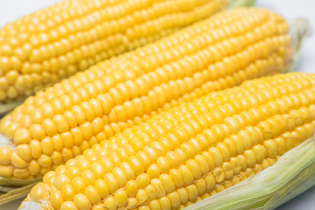 corn close-upの写真素材