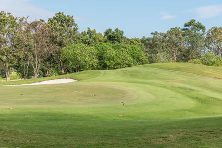 golf fieldの写真素材