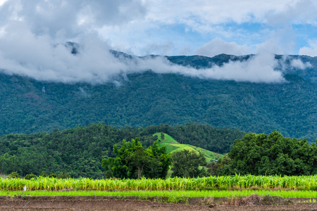 landscape scene at Mae Chaem, Chiang Mai, Thailand.の写真素材