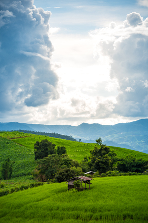 Pong Pieng stepped rice field at Mae Chaem, Chiang Mai, Thailand.の写真素材