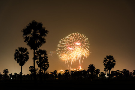 Beautiful firework over Phra Nakhon Khiri hilltop Palace or Khaowang with decorative lighting at Phetchaburi, Thailandの写真素材