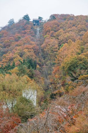 Kawaguchi ropeway with Autumn yellow treesの写真素材