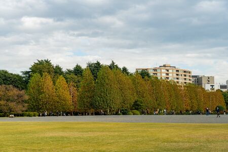 TOKYO, JAPAN - NOVEMBER 16, 2018: Day scene of autumn leaves at Shinjuku Gyoen park with autumn leaves, Tokyo prefecture, Japanのeditorial素材