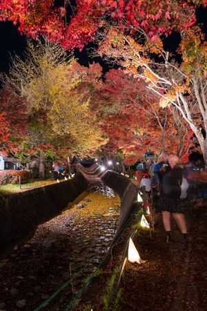 YAMANASHI, JAPAN - NOVEMBER 12, 2018: Light up at maple corridor in "Fujikawaguchiko Autumn Leaves Momiji Festival" event at Kawaguchiko, Yamanashi, Japanのeditorial素材