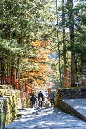TOCHIGI, JAPAN - NOVEMBER 15, 2018: Day scene of Toshogu Shrine at Nikko, Tochigi Prefecture, Japanのeditorial素材