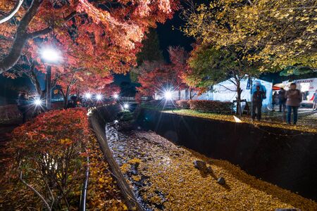 YAMANASHI, JAPAN - NOVEMBER 12, 2018: Light up at maple corridor in "Fujikawaguchiko Autumn Leaves Momiji Festival" event at Kawaguchiko, Yamanashi, Japanのeditorial素材