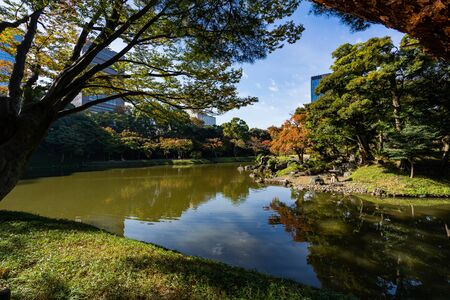 TOKYO, JAPAN - NOVEMBER 16, 2018: Day scene of Koishikawa Korakuen Garden with autumn leaves, Tokyo prefecture, Japanのeditorial素材