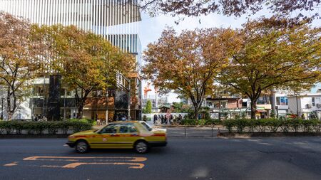 TOKYO, JAPAN - NOVEMBER 18, 2018: Day scene of Omotesando road with autumn leaves at Tokyo...