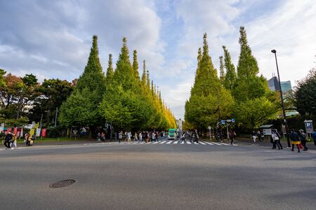 TOKYO, JAPAN - NOVEMBER 16, 2018: Day scene of crowded people at Ginkgo avenue, Tokyo prefecture,...