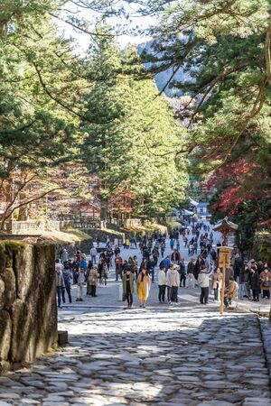TOCHIGI, JAPAN - NOVEMBER 15, 2018: Day scene of Toshogu Shrine at Nikko, Tochigi Prefecture, Japanのeditorial素材