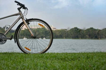 Bicycles parked near a quiet pond.の写真素材