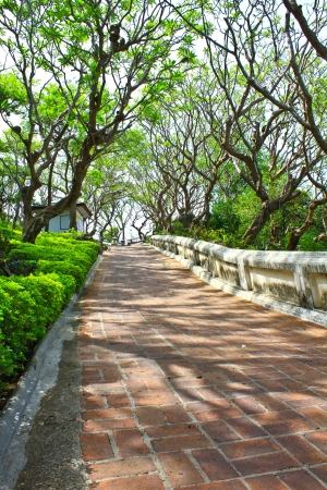 Red pathway in the park, Thailandの写真素材