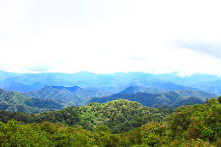 Views of the valley to the high peaks of 1200 meters in the national park