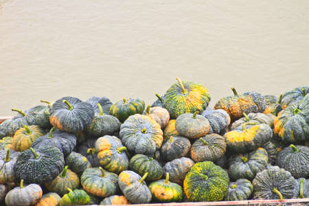 Local thai pumpkin in boat for transport to marketの写真素材