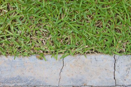 surface grass and stone ground in gardenの写真素材