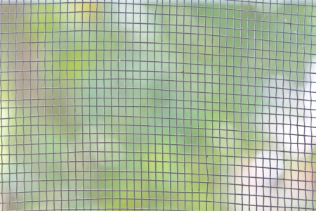 Mosquito wire screen texture on the window for background usageの写真素材