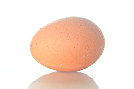 Egg  isolated on white 