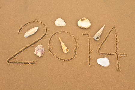 New year 2014 on the beach with shells