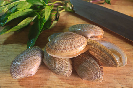 surf clam with basil leaves redy on wooden for cooking