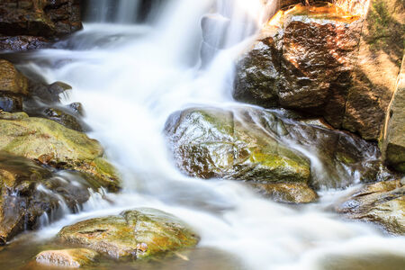 rainforest waterfall and rocks covered with mossの写真素材
