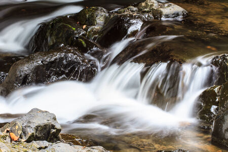 rainforest waterfall and rocks covered with moss