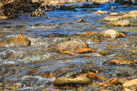 water and rocks covered with moss in stream deep forestの写真素材