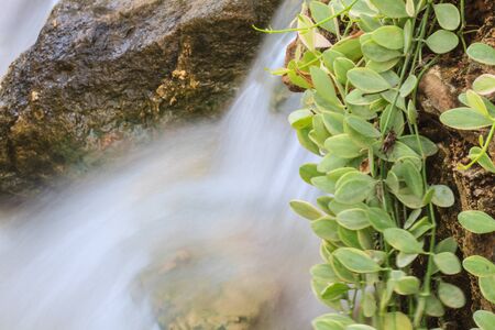 Close up Small waterfall in a gardenの写真素材