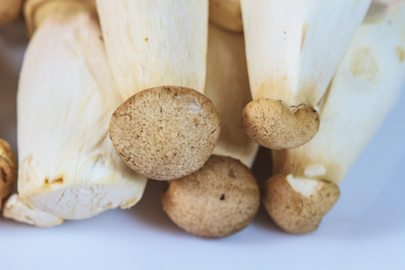 close up mushroom on white background for cookingの写真素材