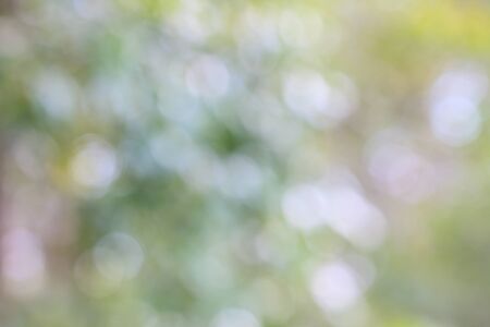 Abstract blurry bokeh background,  use as natural backgroundの写真素材