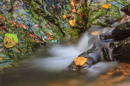 rainforest waterfall and rocks covered with mossの写真素材