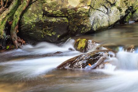 rainforest waterfall and rocks covered with mossの写真素材