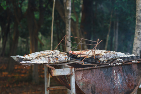 Grilling fish on framfire, cooking in gardenの写真素材