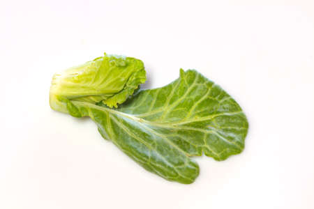 vegetable Chinese Kale sprout on white backgroundの写真素材