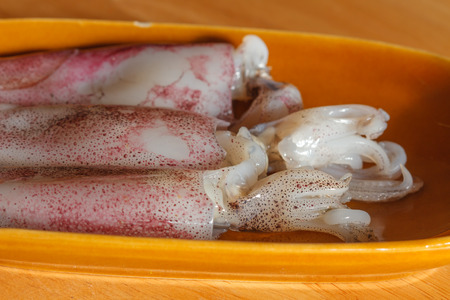 Raw squid on wooden background for cookingの写真素材