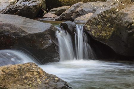 rainforest waterfall and rocks covered with moss