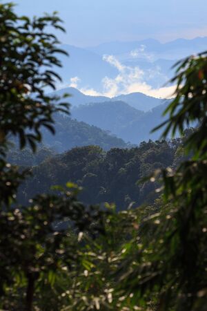 sea of fog with forests as foreground. This place is in the Kaeng Krachan national park, Thailand