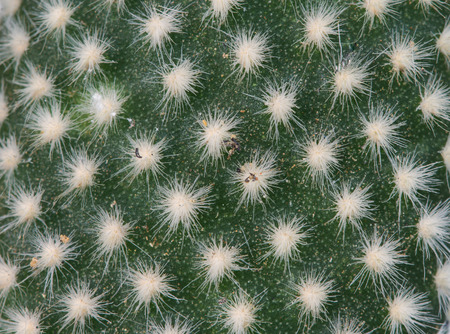 selective focus