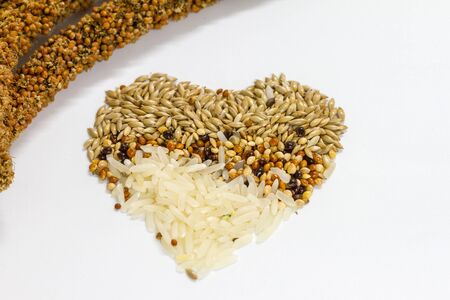 Closeup Millet dry seeds beautiful textured background