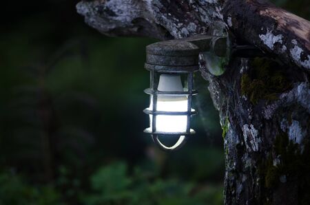 Garden lamp shines beautifully at night, Garden glowing decoration light in the park at night