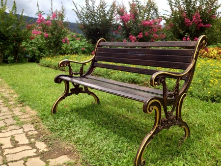 Chair in a gardenの素材