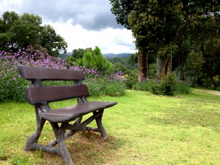 Chair in a gardenの素材